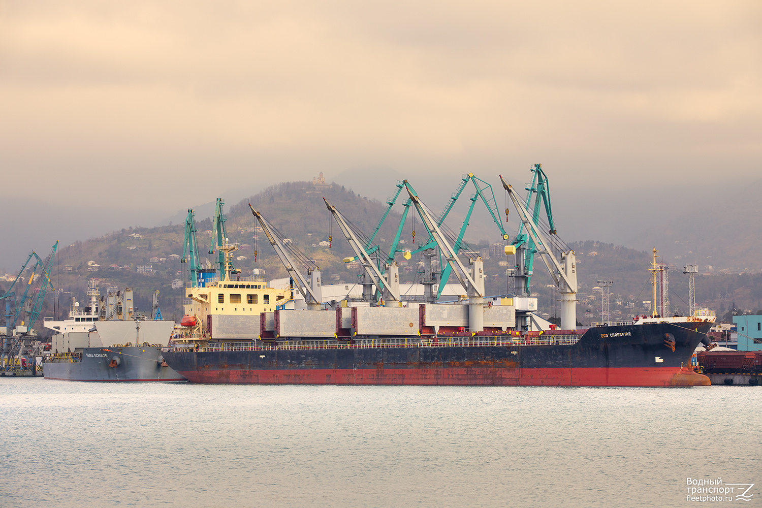 Fabia Schulte, Eco Crossfire