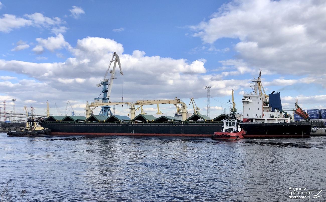 Сестрорецк, Necibe, Евгений Кочешков