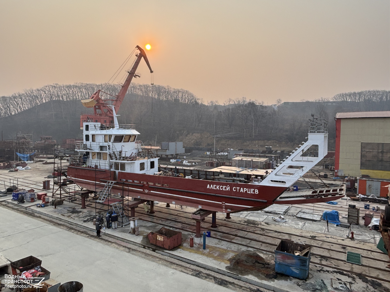 Алексей Старцев