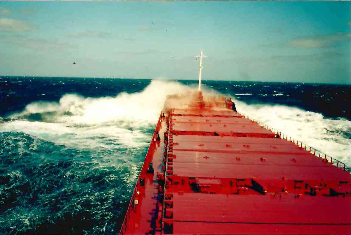 Maiga. View from wheelhouses and bridge wings