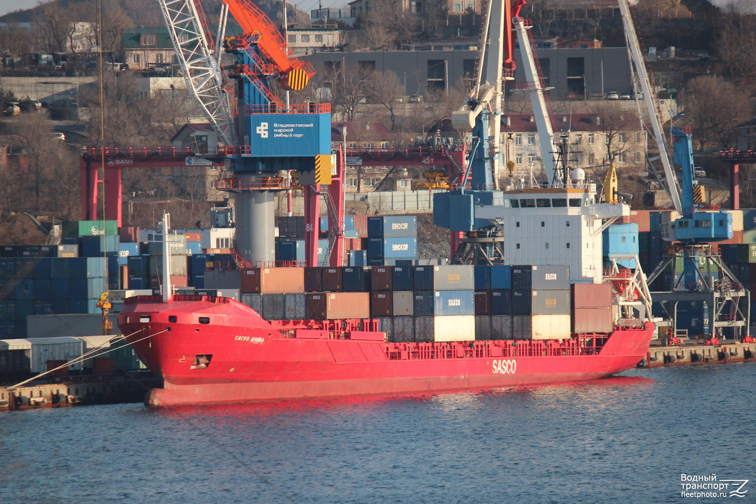 Саско Анива