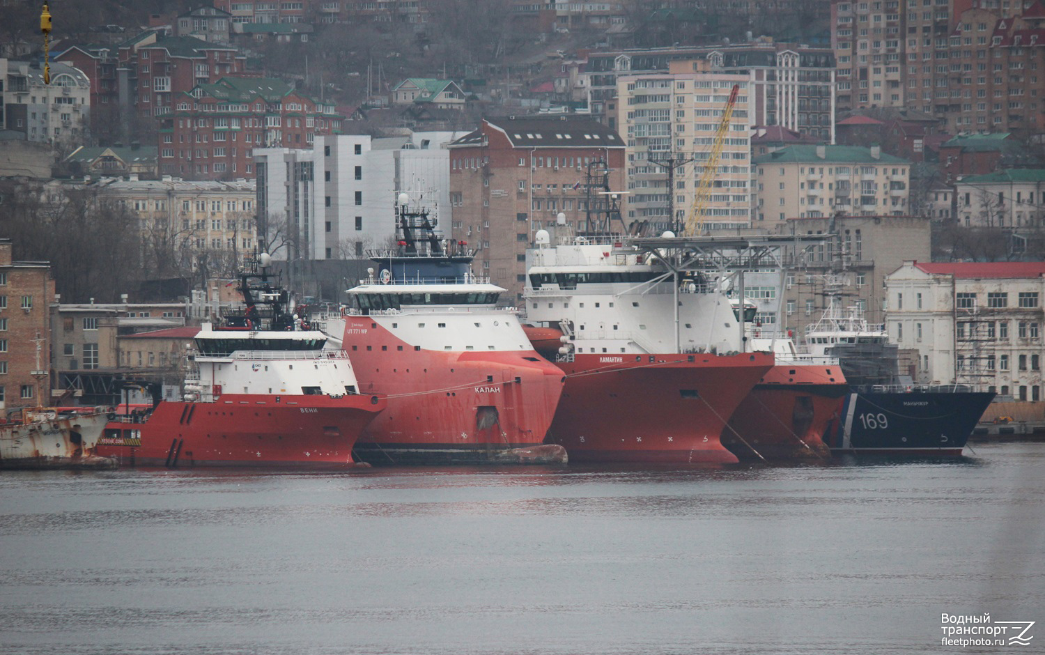 Вени, Калан, Ламантин