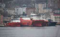 Маньчжур (Проект 850285, тип Командор, Береговая охрана России); Ламантин (Проект Ulstein P101, Холмск); Калан (Проект UT 771 WP, Холмск); Вени (Проект Havyard 842, Холмск)