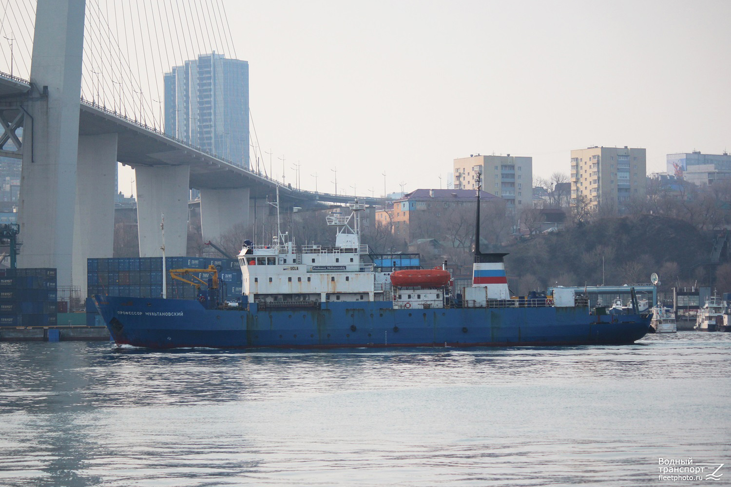 Профессор Мультановский