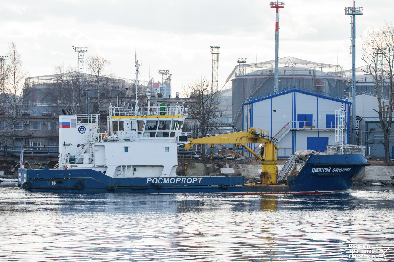 Дмитрий Сироткин