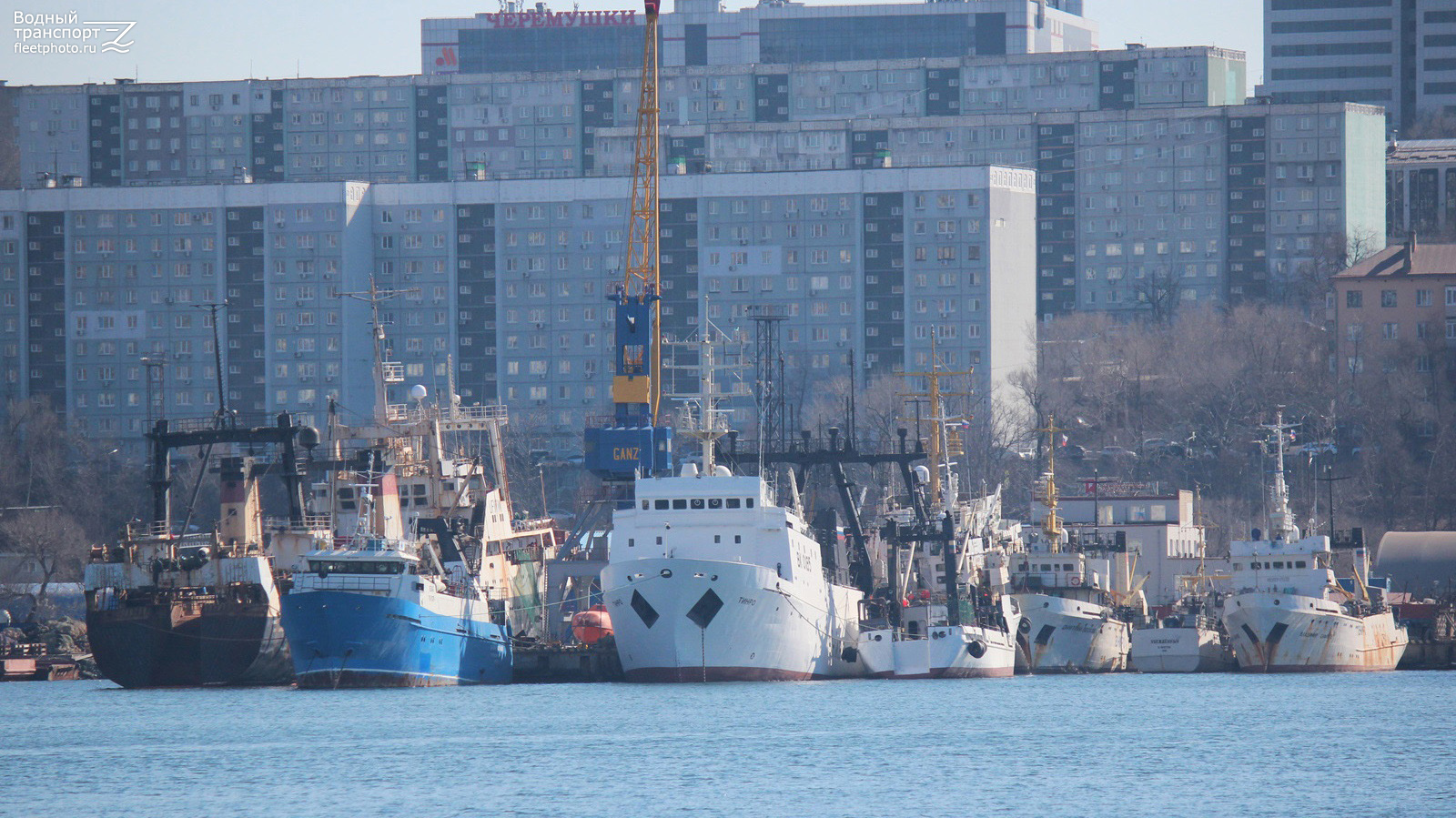 Мыс Басаргина, Анатолий Таранец, Тинро, Василий Костарев, Дмитрий Песков, Убеждённый, Владимир Сафонов