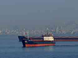 Дон Стар-6 (Тип Омский, проект 1743, шифр "Лена", Таганрог); Azov Concept (Проект RSD12, Маджуро)