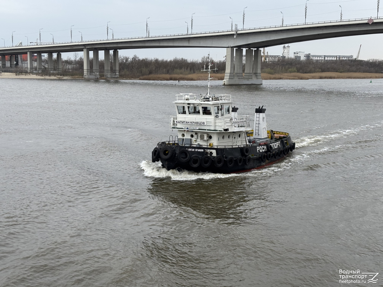 Капитан Кравцов