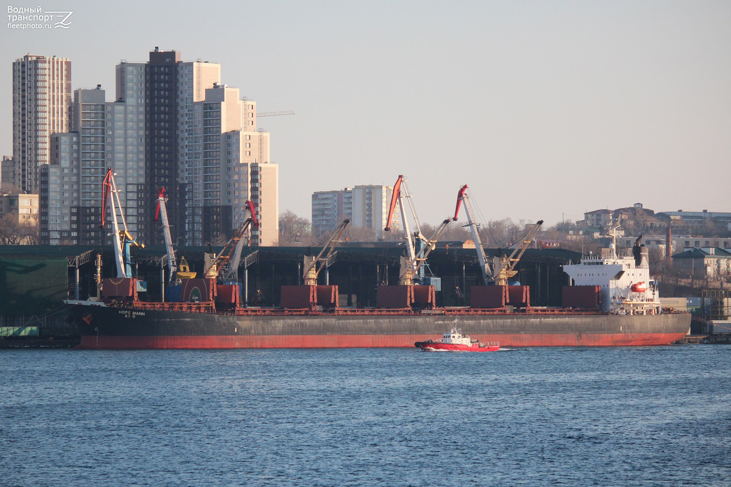 Hope Mann, Альбатрос