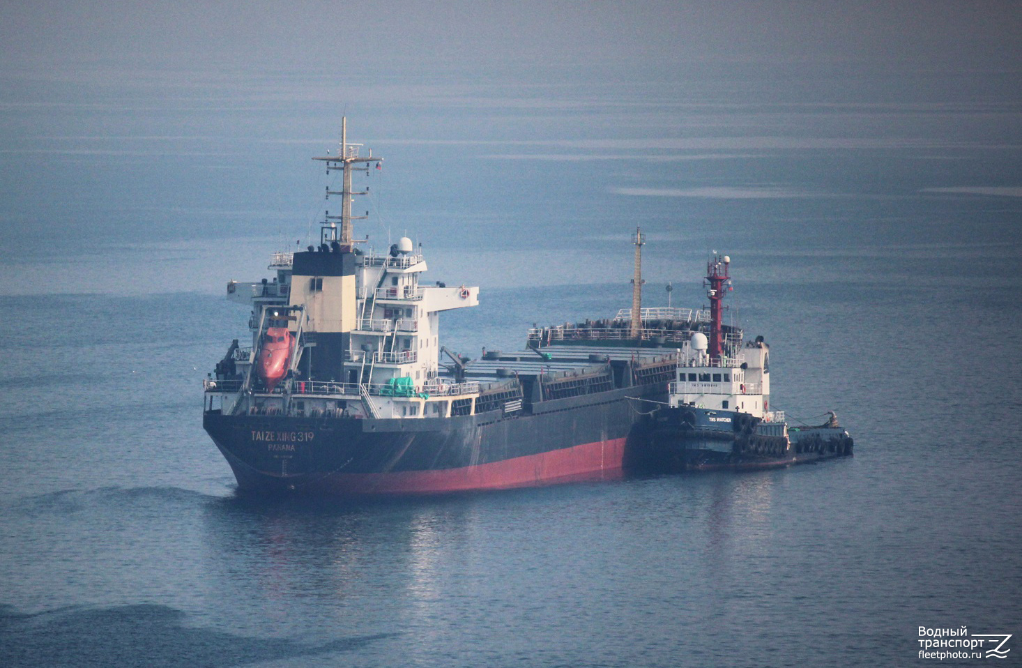 Tai Ze Xing 319, TNS Watcher