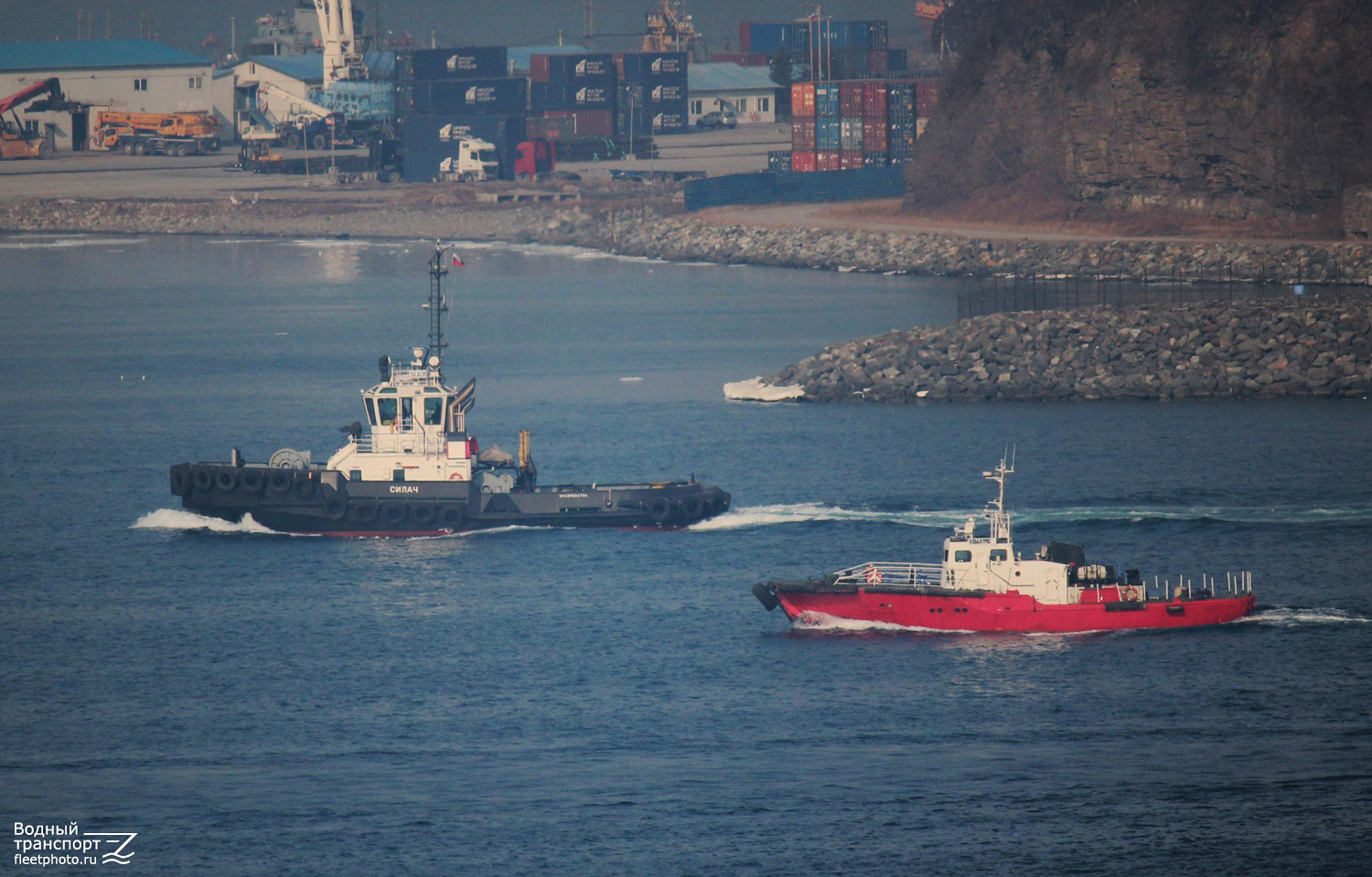 Силач, Альбатрос