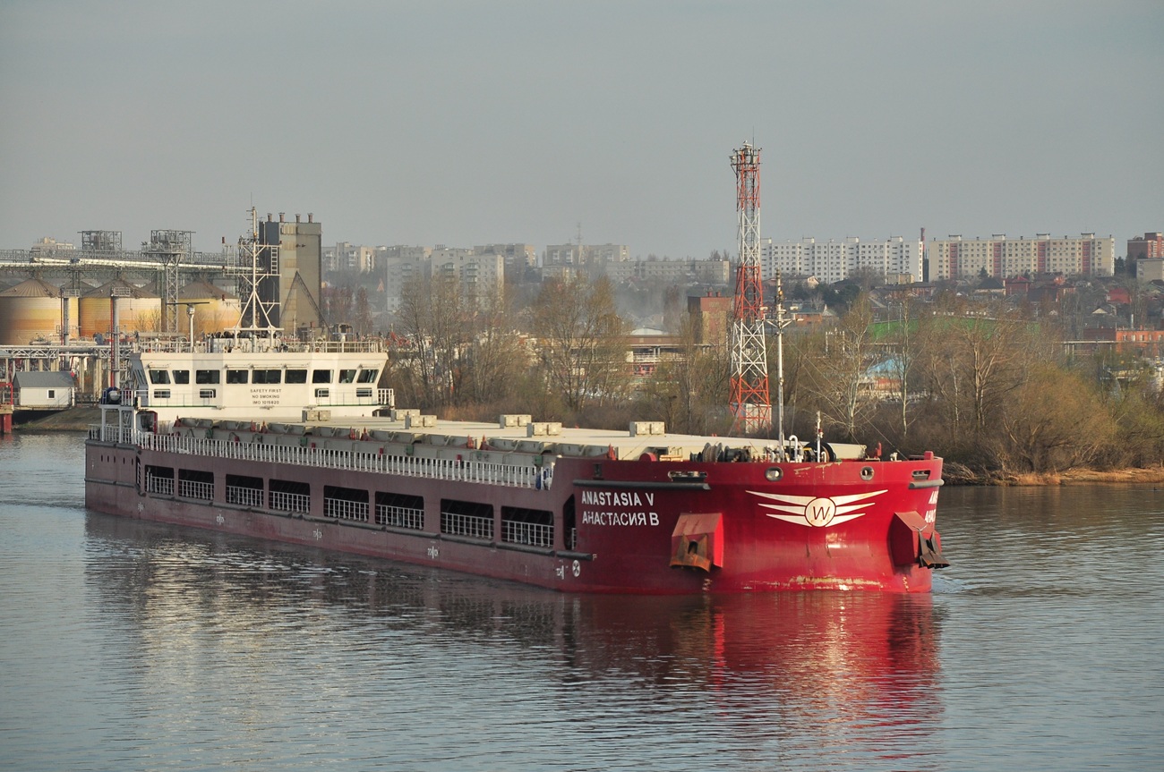 Aнастасия В