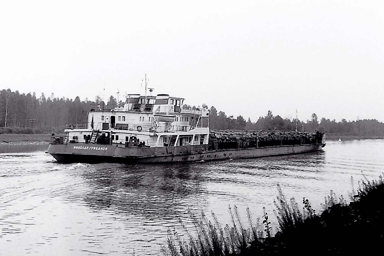 Николай Грибанов