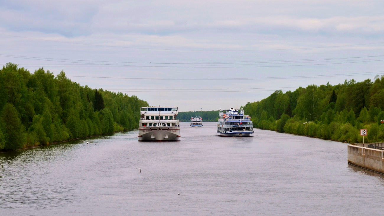 Николай Чернышевский, Михаил Танич