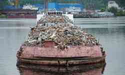 Олег Стуколов (Тип ОМ, проект 780, 780-03, 780-03-1570, Городец); ОТ-1517 (Тип ОТ-1500, проект Р-153, Санкт-Петербург); 7106 (Тип 943 (всех модификаций), проект 943АУ, Москва); Устюг (Тип Шестая пятилетка, проект 576, Нижний Новгород); Окский-15 (Тип Окский, проект 559Б, Москва)