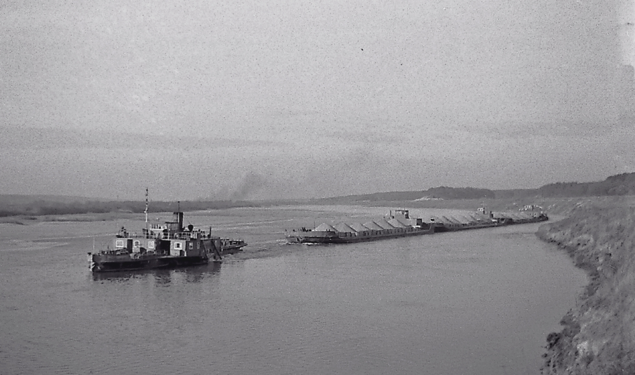 Черноморец