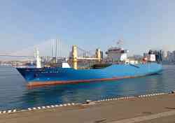 Sun Star (Накатные (ролкеры), Панама)