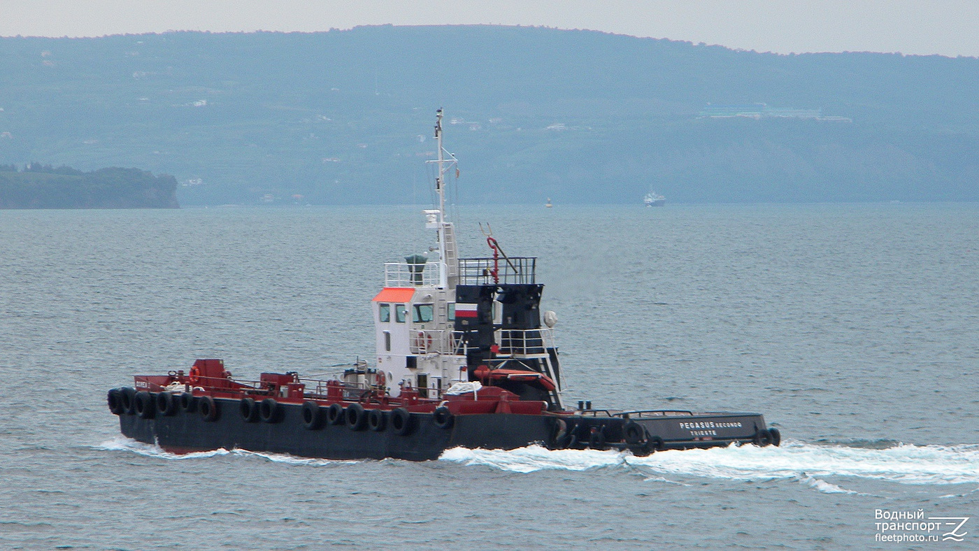 Borea I, Pegasus Secondo