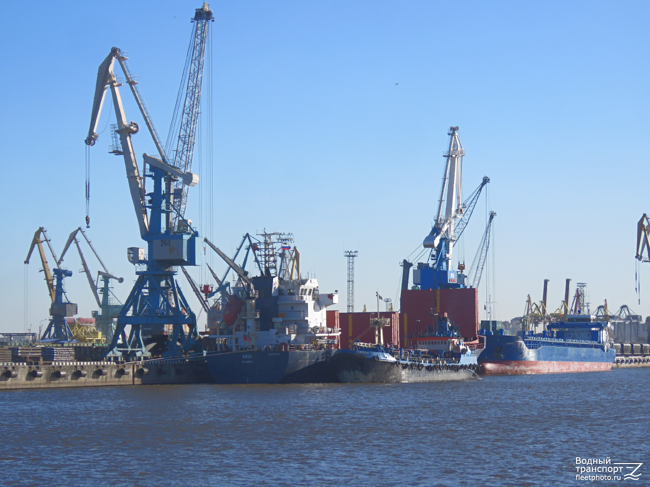 Северянка, Karita