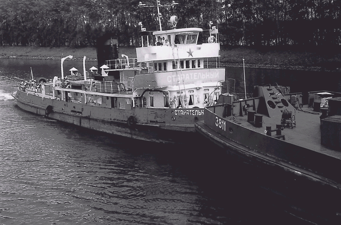 Старательный