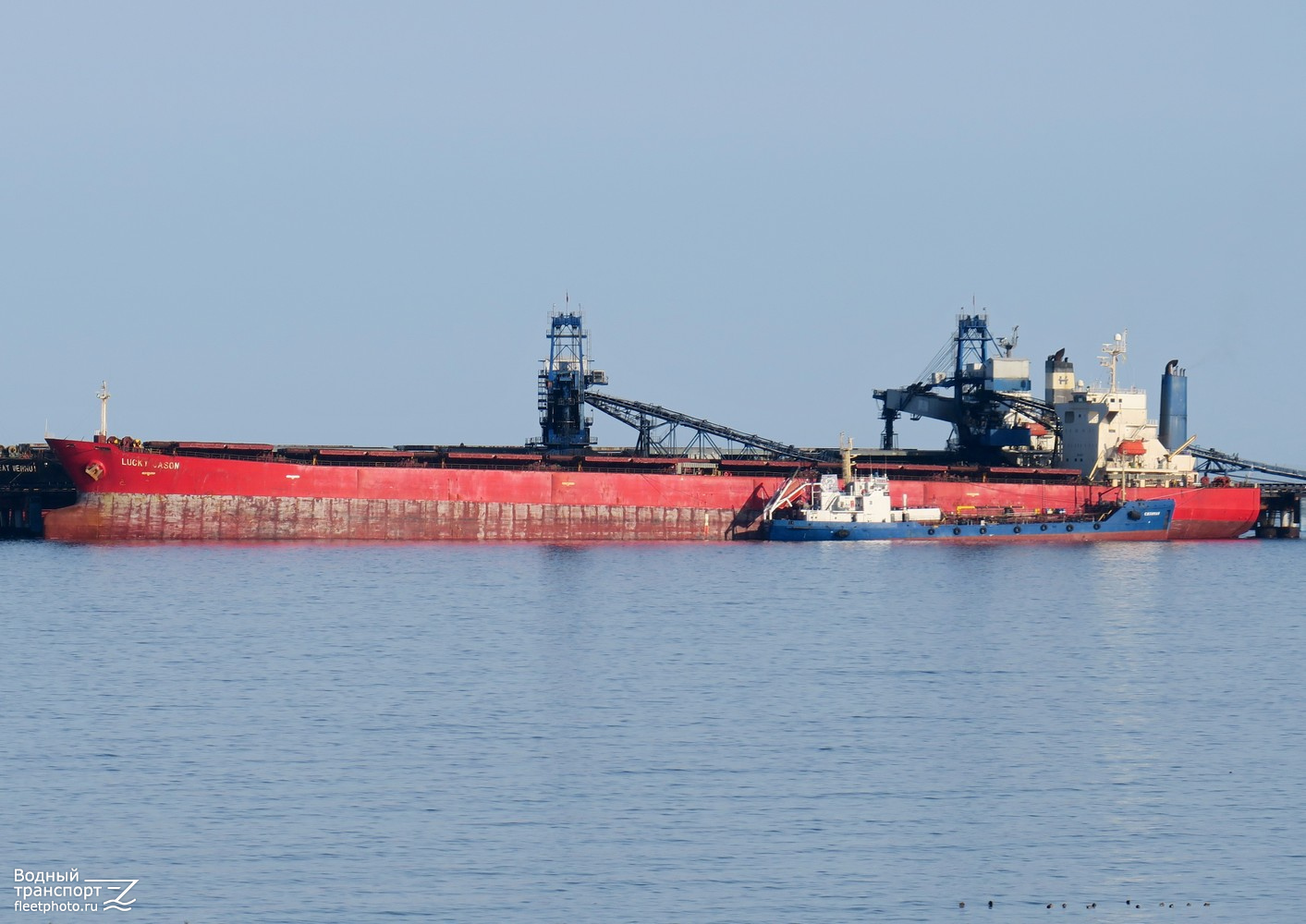 Lucky Jason, Сизиман