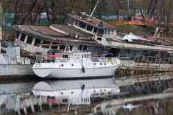 Князь Рюрик (Тип ОМ, проект 623, Москва); Викинг (Маломерные суда, Москва); Марс (Тип Ярославец (пр. 376 всех модификаций), проект РВМ-376 (03766), Москва)