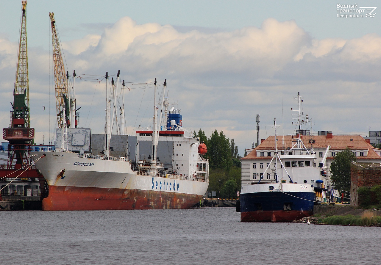 Aconcagua Bay, Бора
