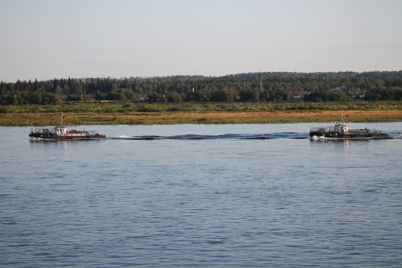 За мир, П.Гончаров