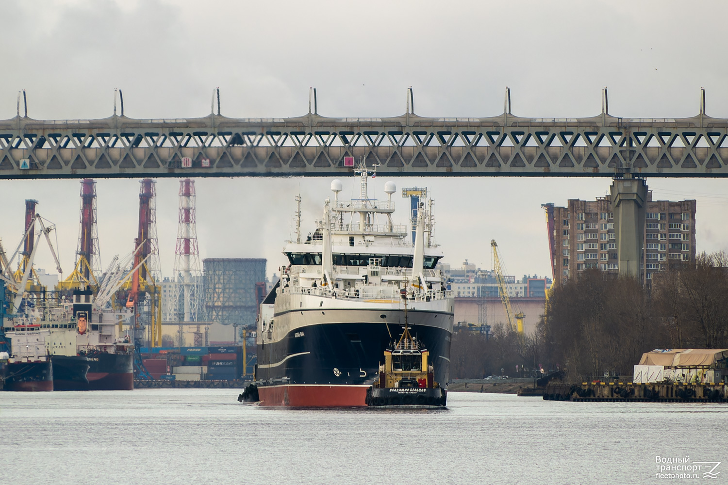 Капитан Юнак, Владимир Бельцов