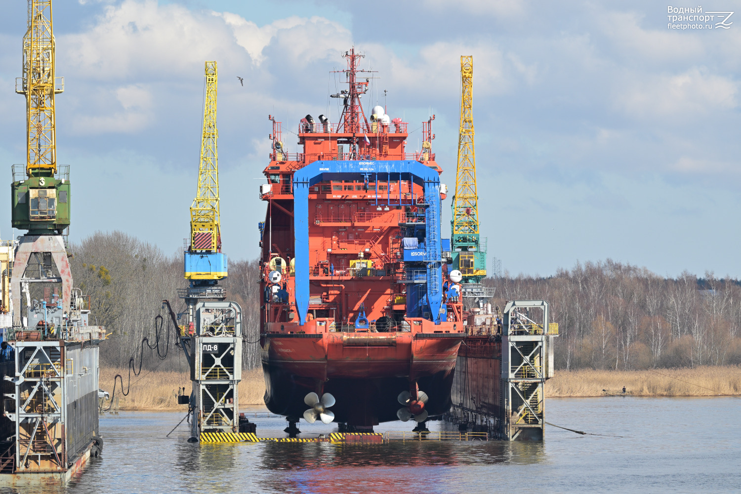 Мурман, Док-8