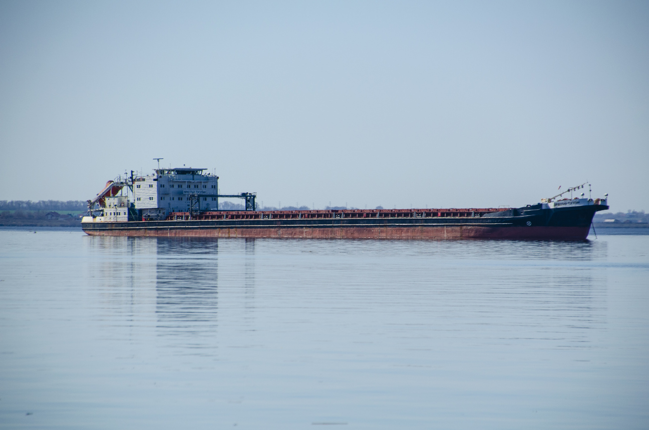 Вячеслав Гогулин