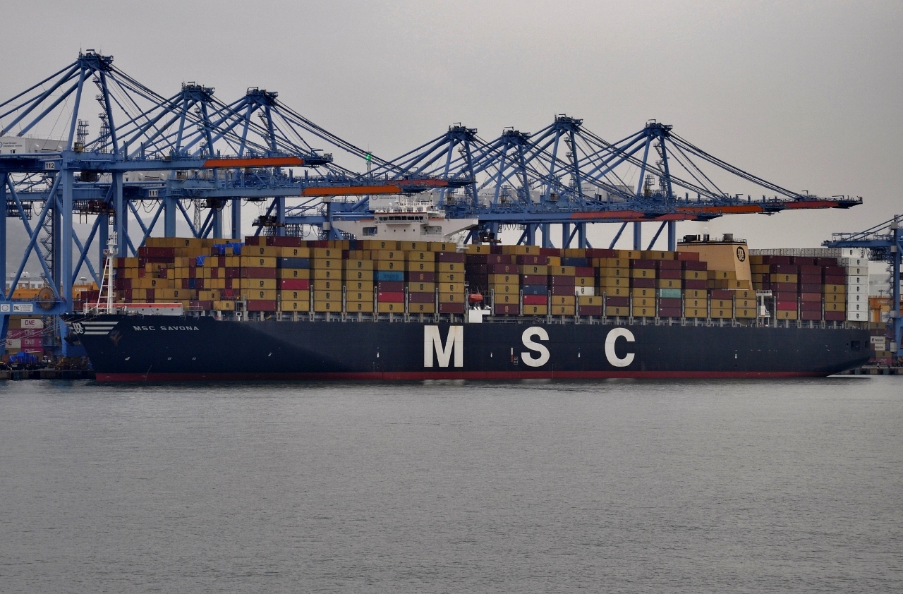 MSC Savona