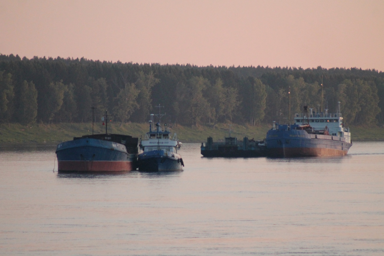 9186, Плотовод-717, Фёдор Наянов. Енисейский / Байкало-Ангарский бассейн