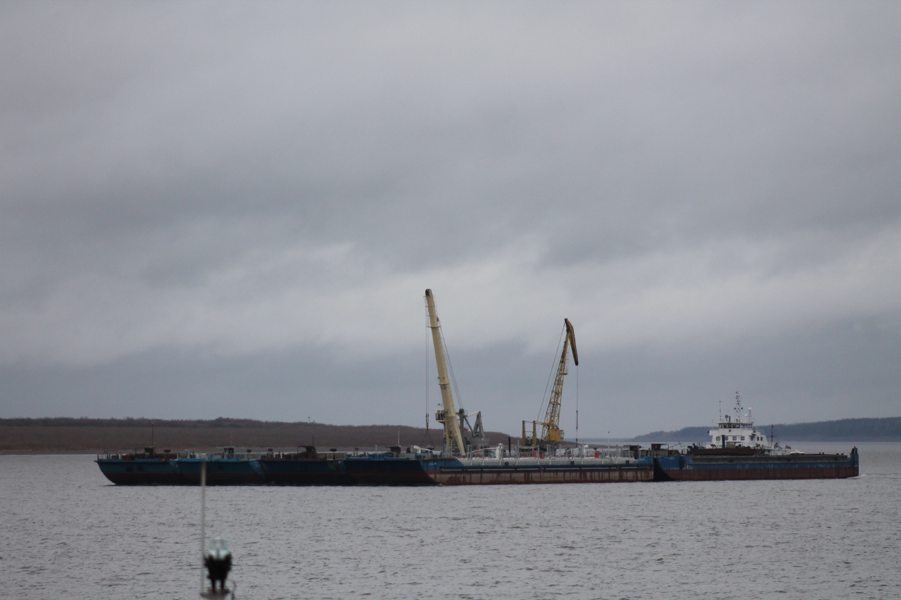 БН-4, Дмитрий Корольский