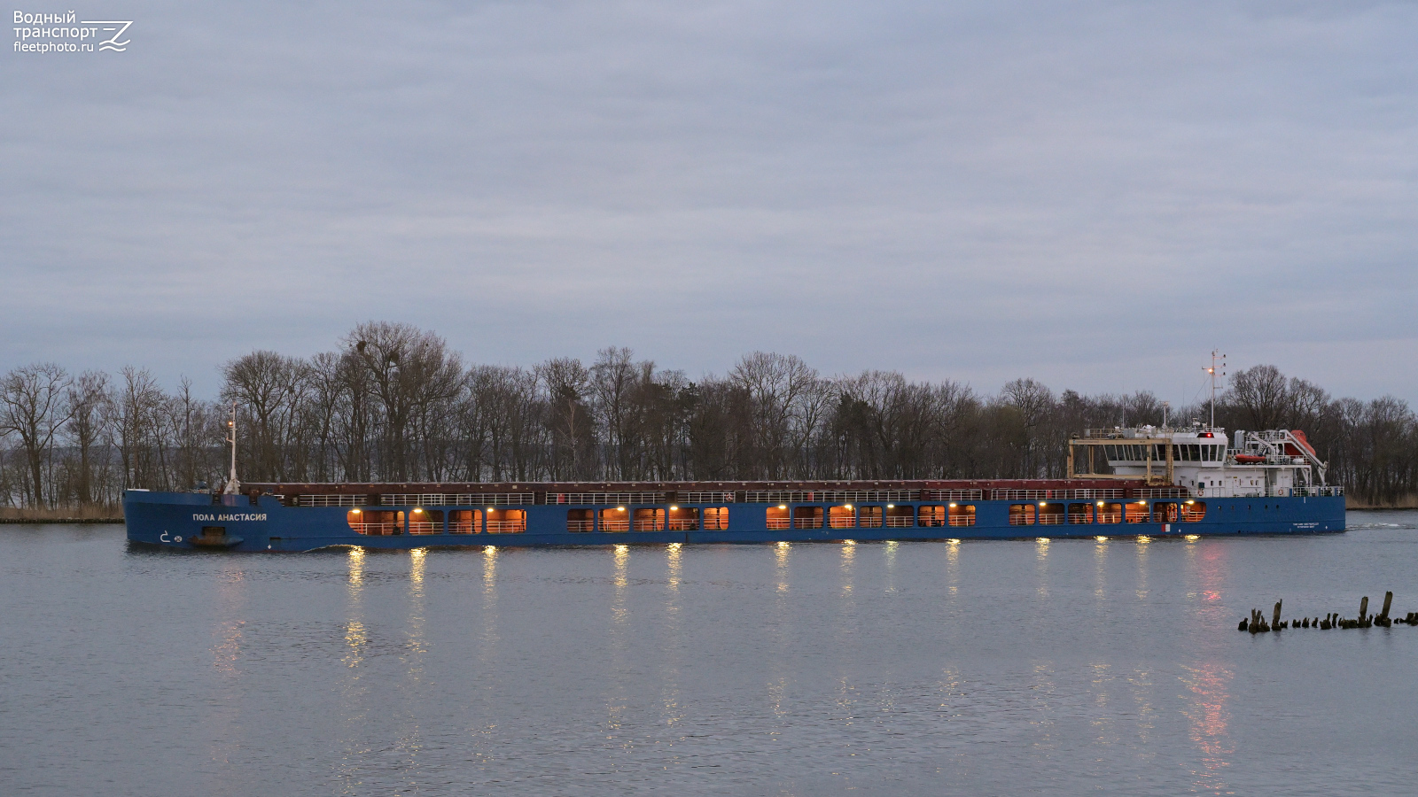 Пола Анастасия