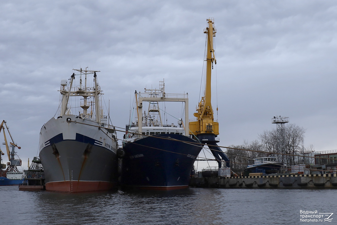 Валерий Джапаридзе, Иосиф Шмелькин