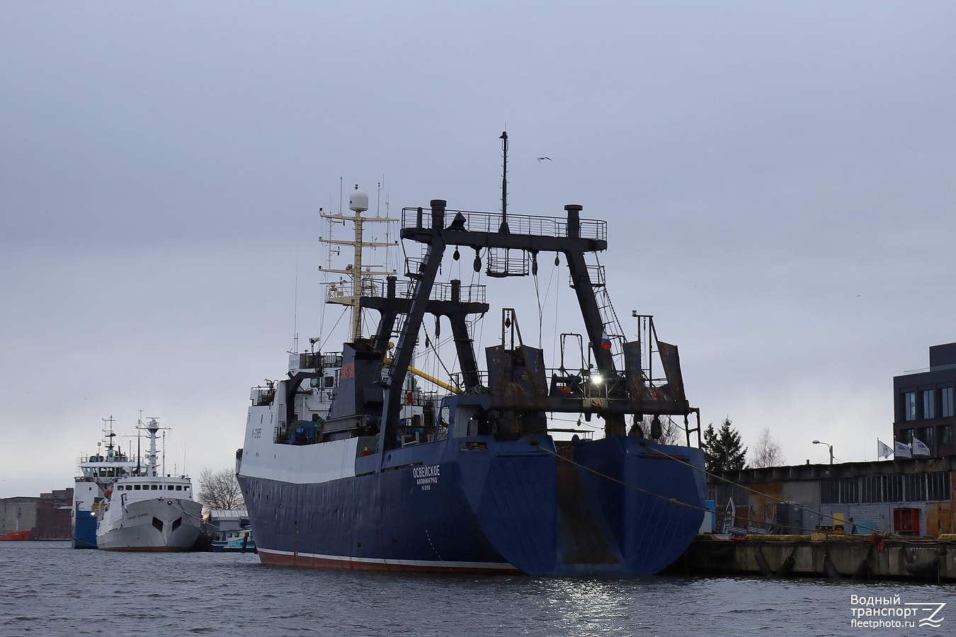 Профессор Штокман, Освейское