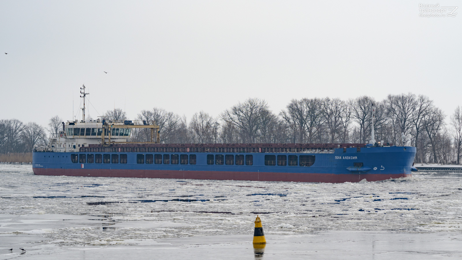 Пола Алексия