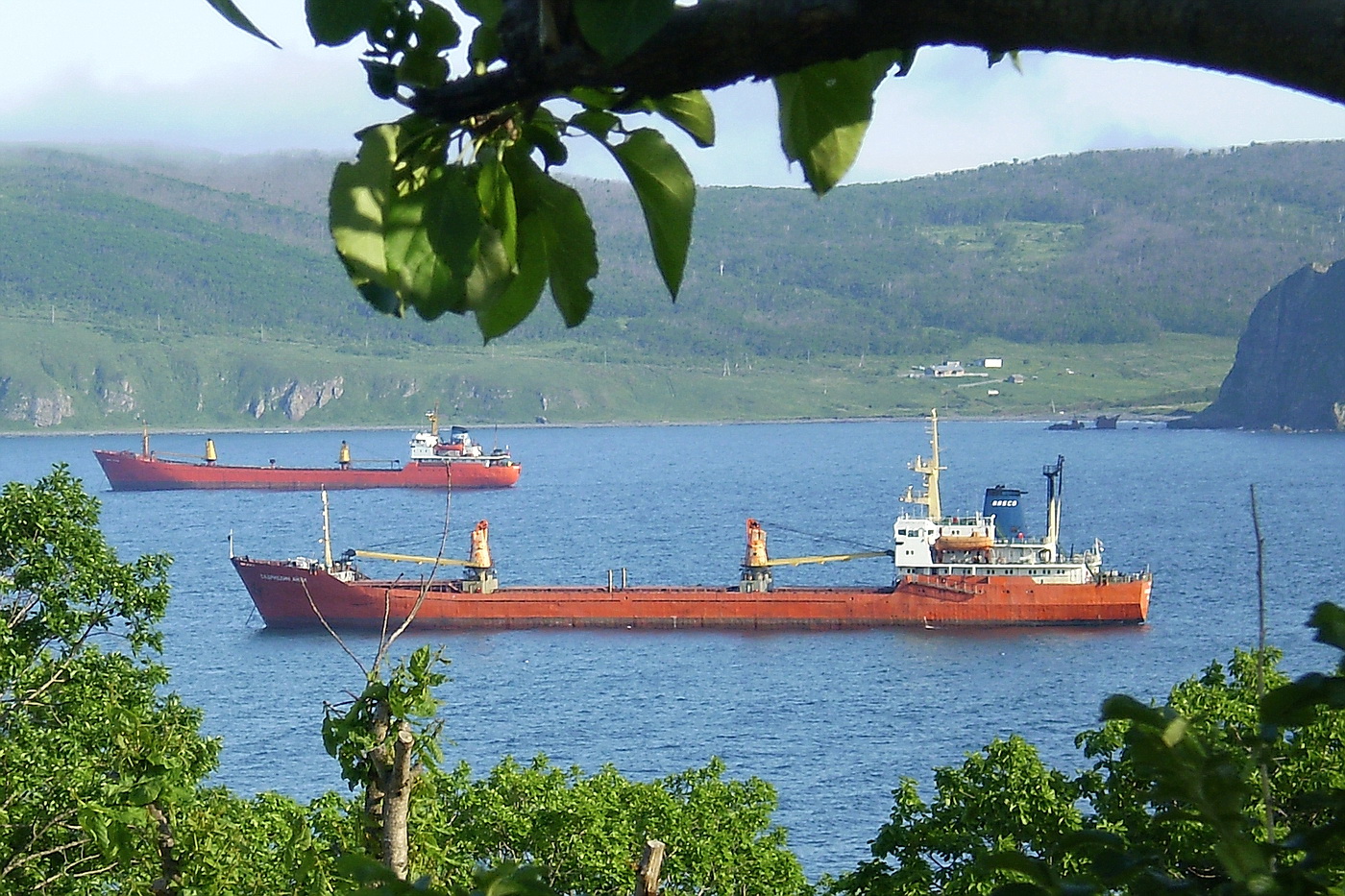 Иван Строд, Садриддин Айни