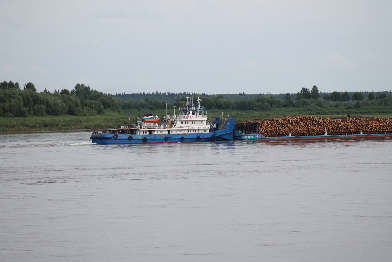 Виктор Колесников, БП-2008
