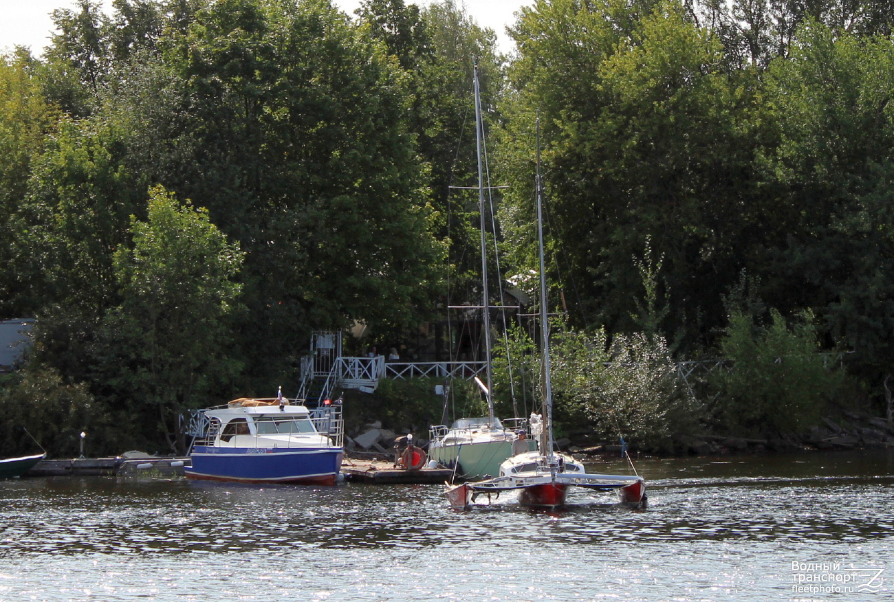 Optimus Mundus, Zorro