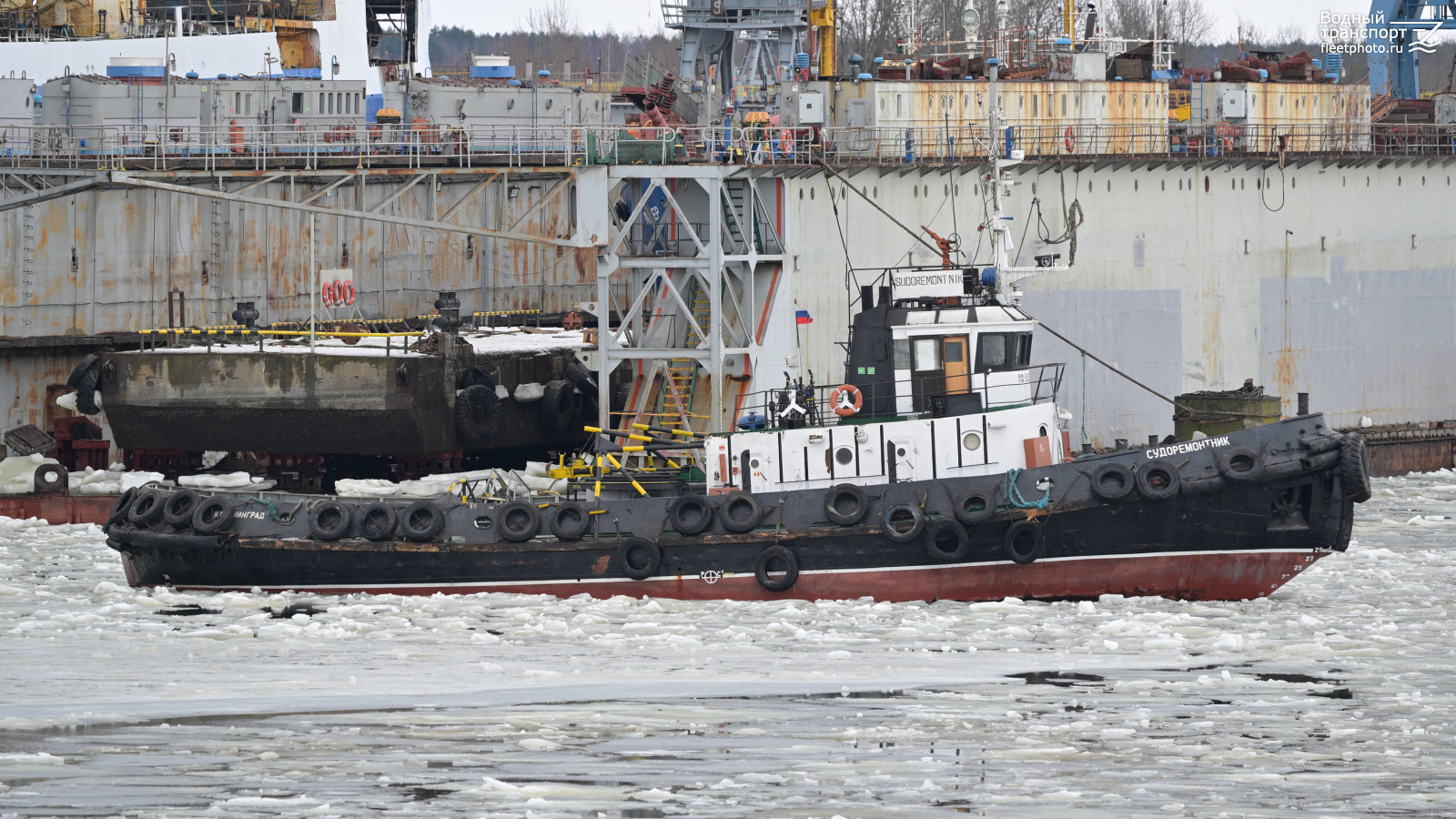 Судоремонтник