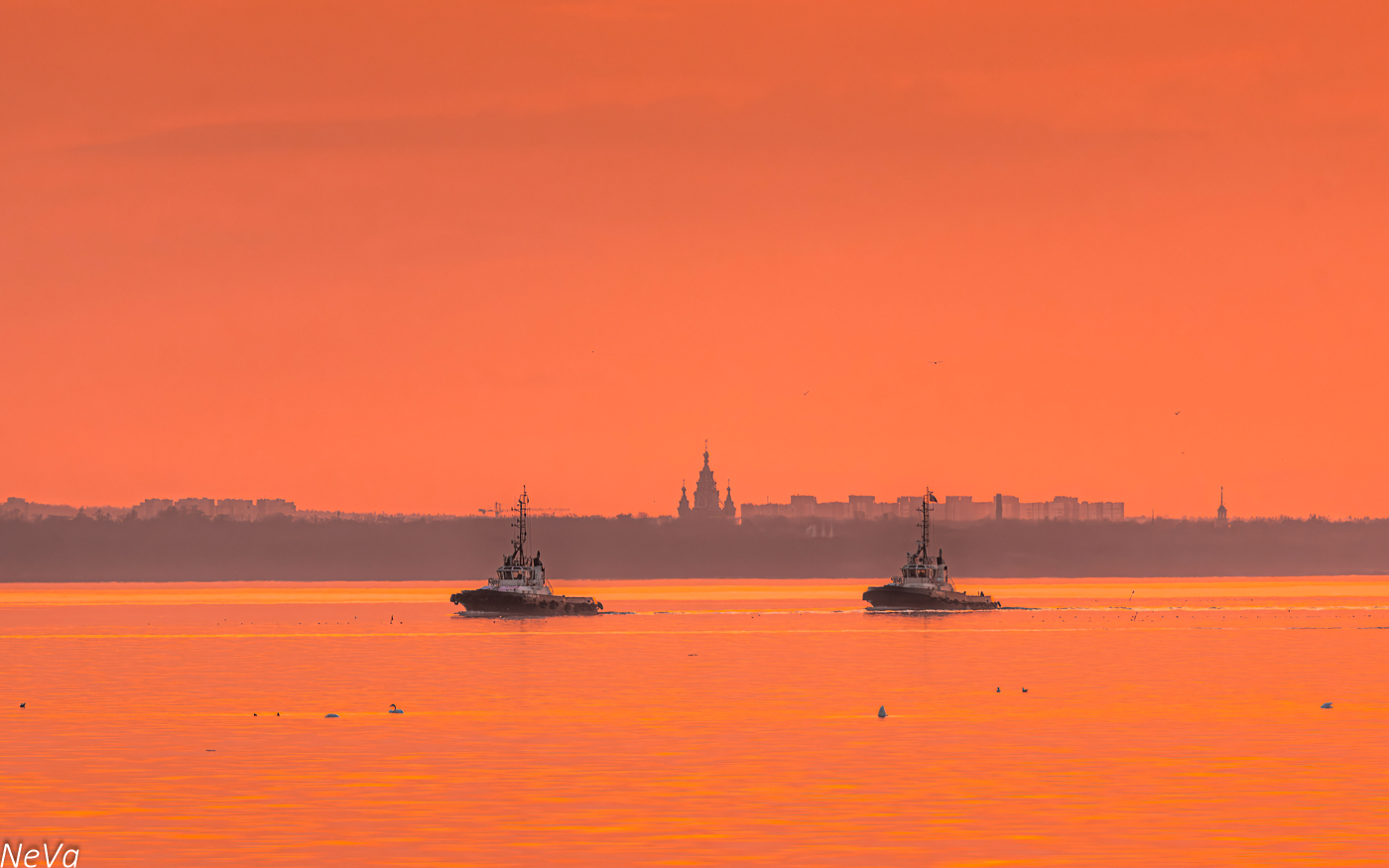 Грифон-5, Грифон-9