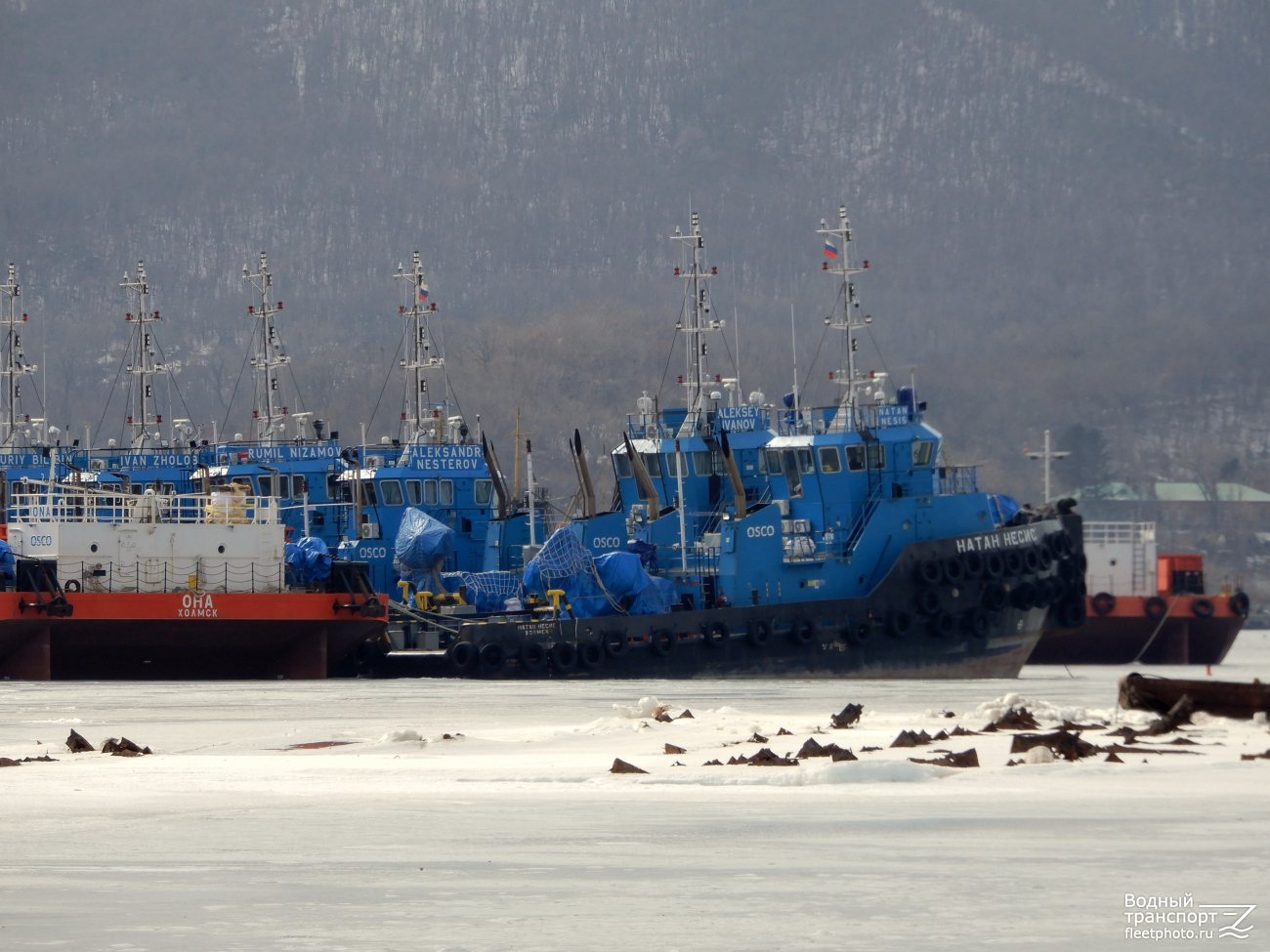 Натан Несис