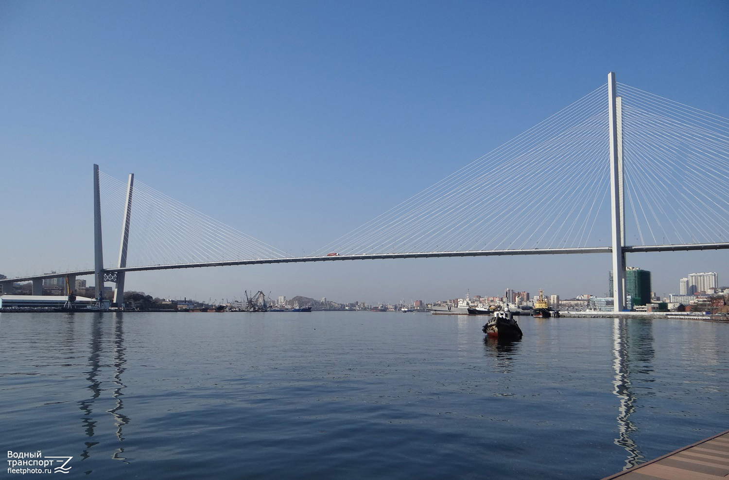 Дальневосточный морской бассейн