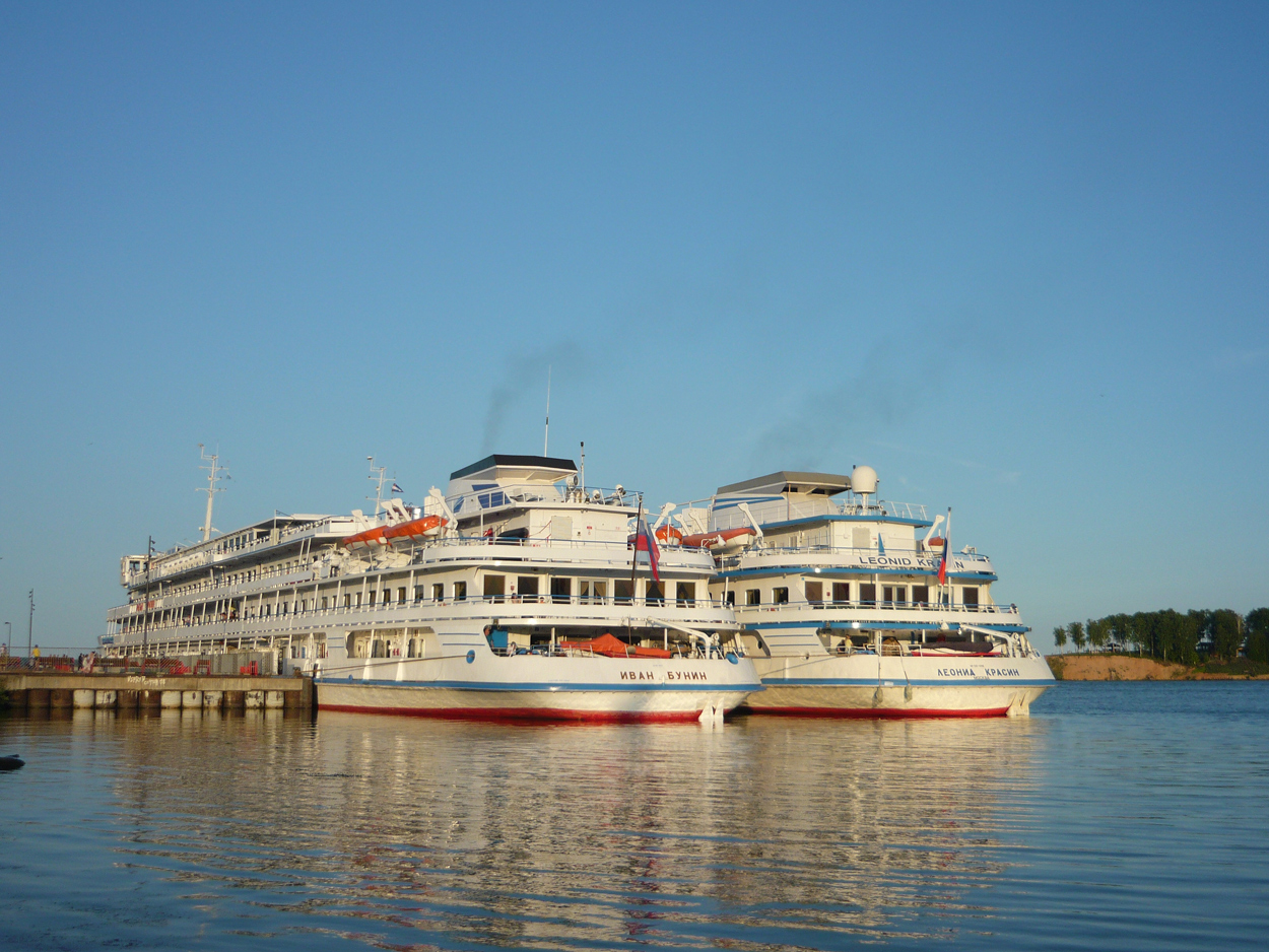 Иван Бунин, Леонид Красин