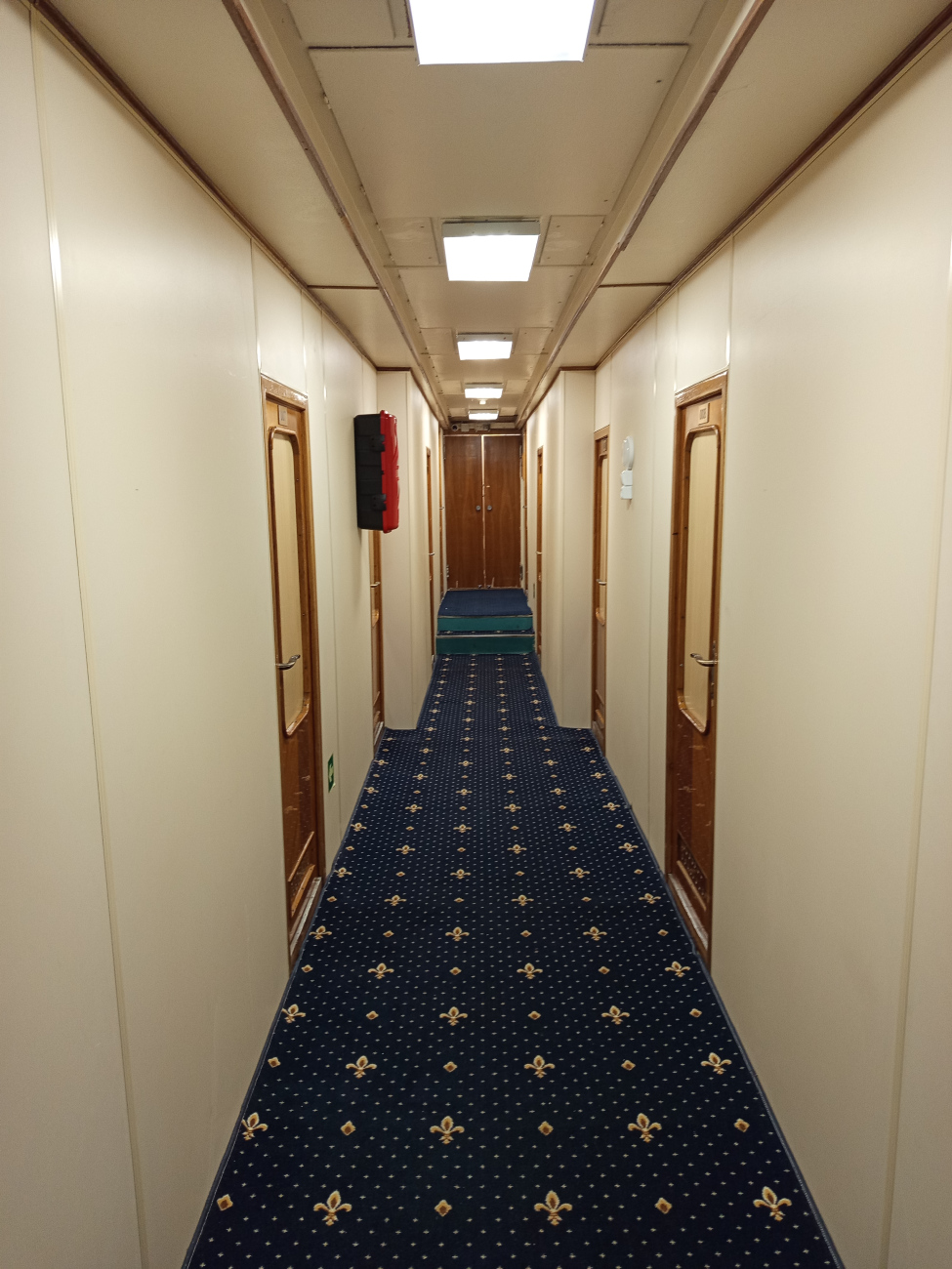 Павел Миронов. Проект 305