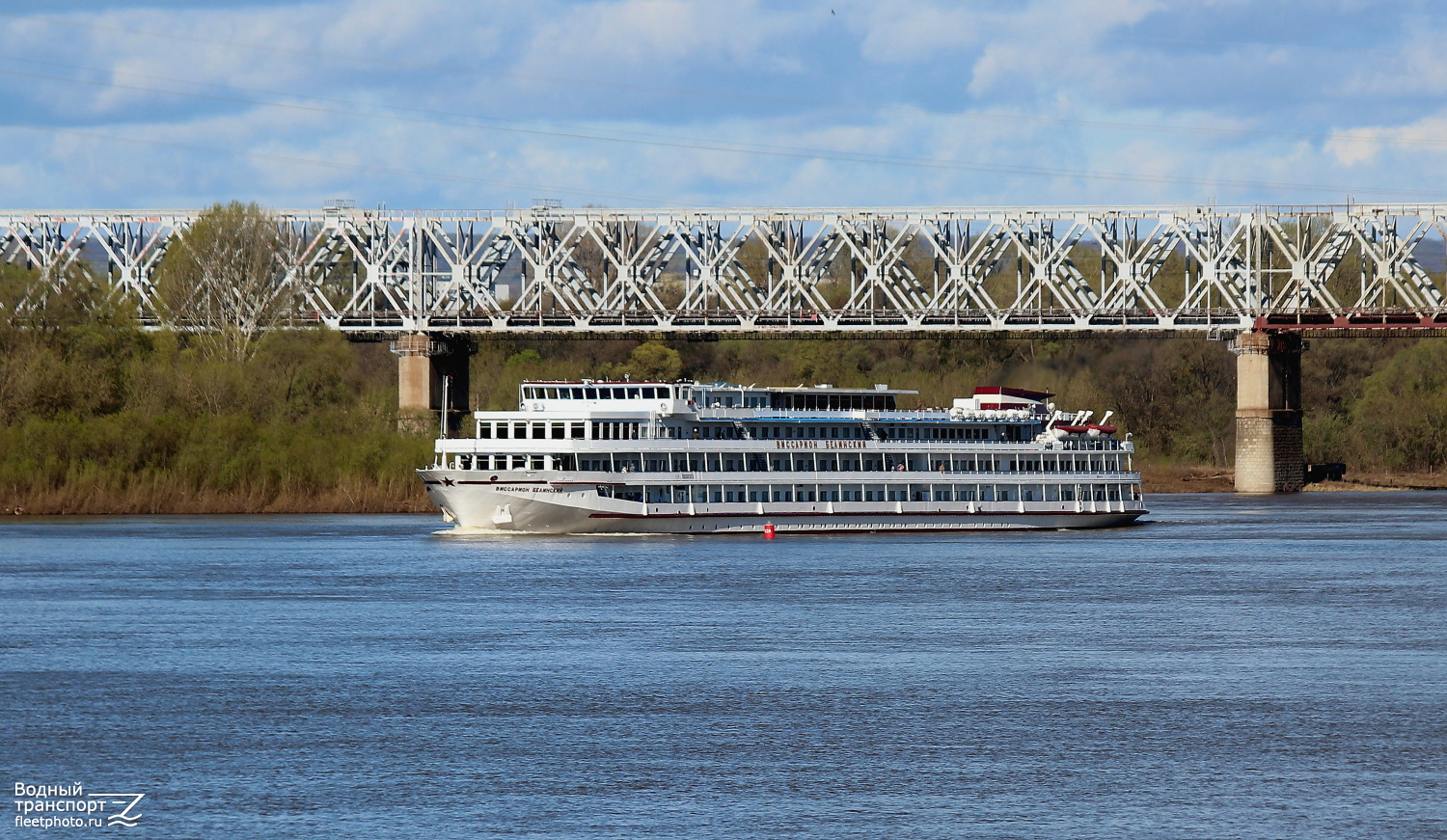 Виссарион Белинский