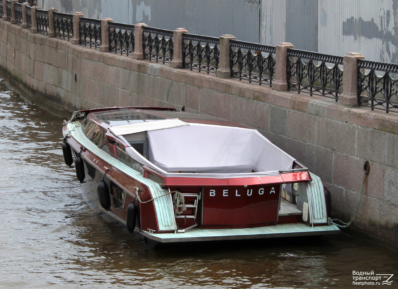 Белуга 42