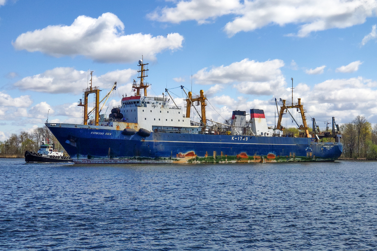Куршская коса